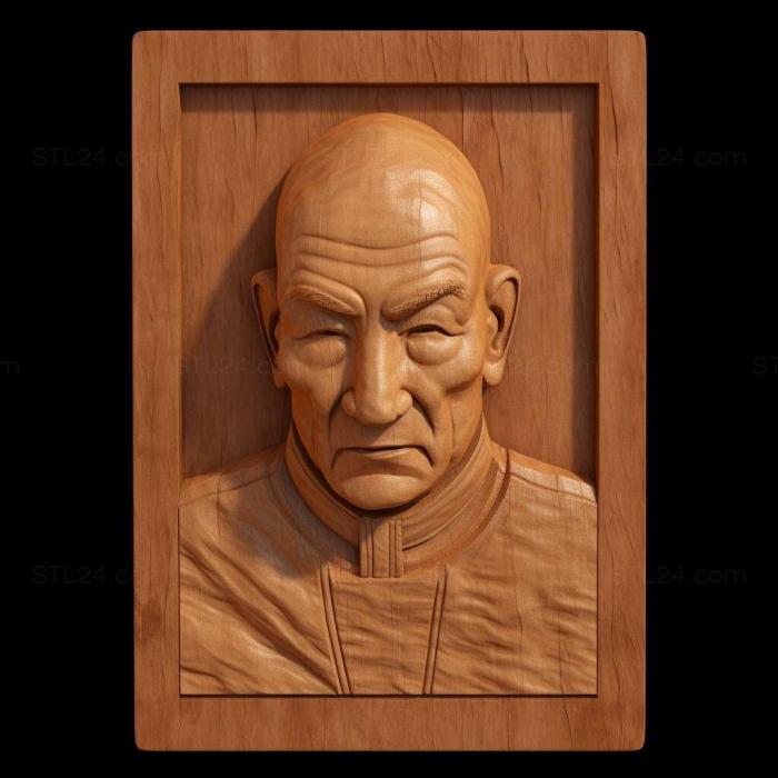 Characters (st captain picard 2, HERO_4266) 3D models for cnc